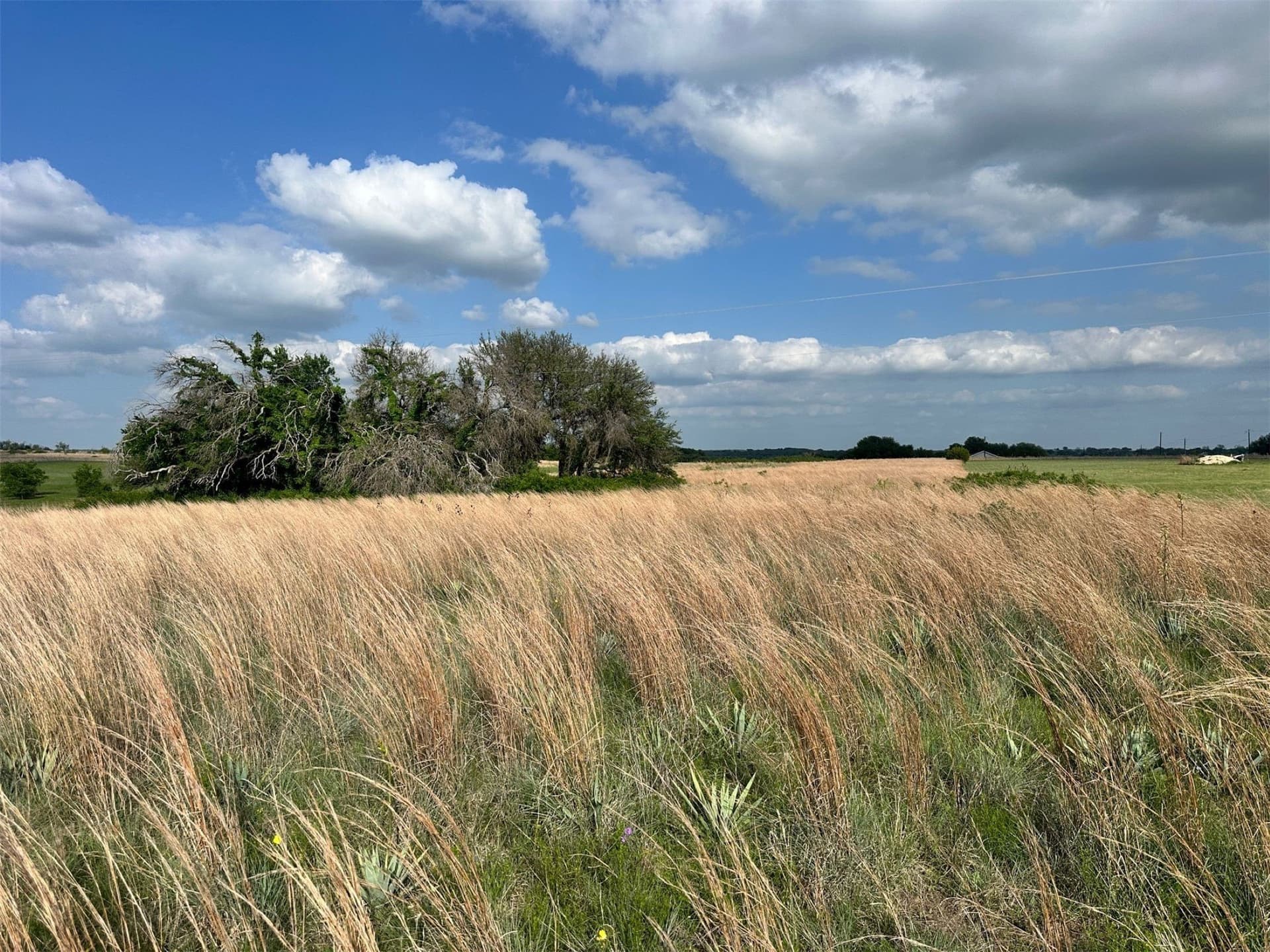 5 acres in Comanche County gallery image 3