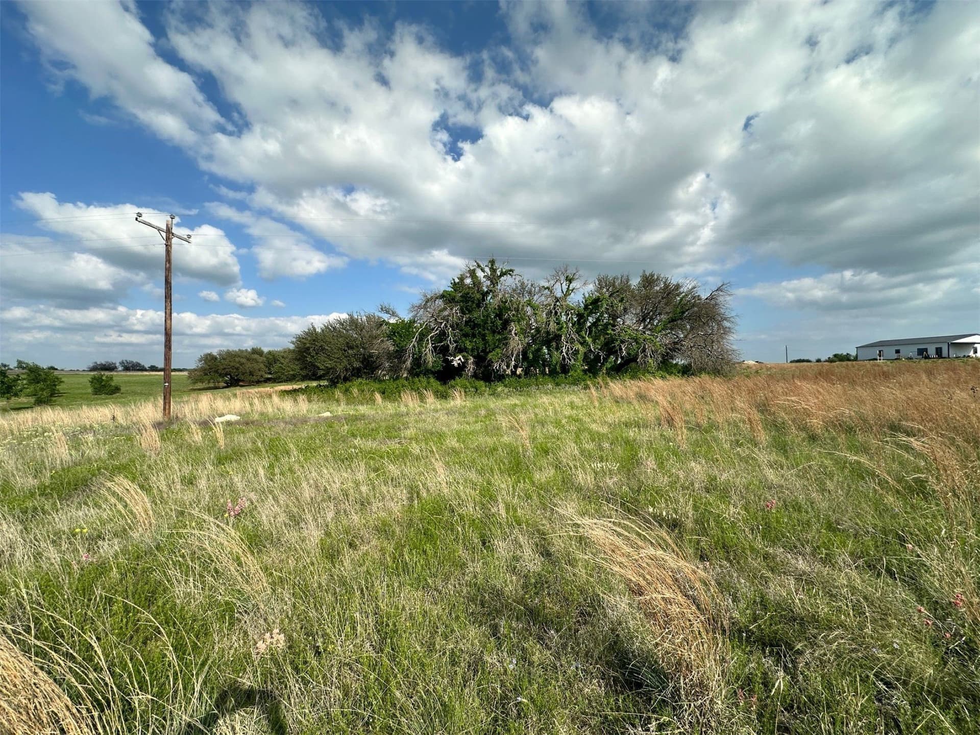 5 acres in Comanche County - photo 6