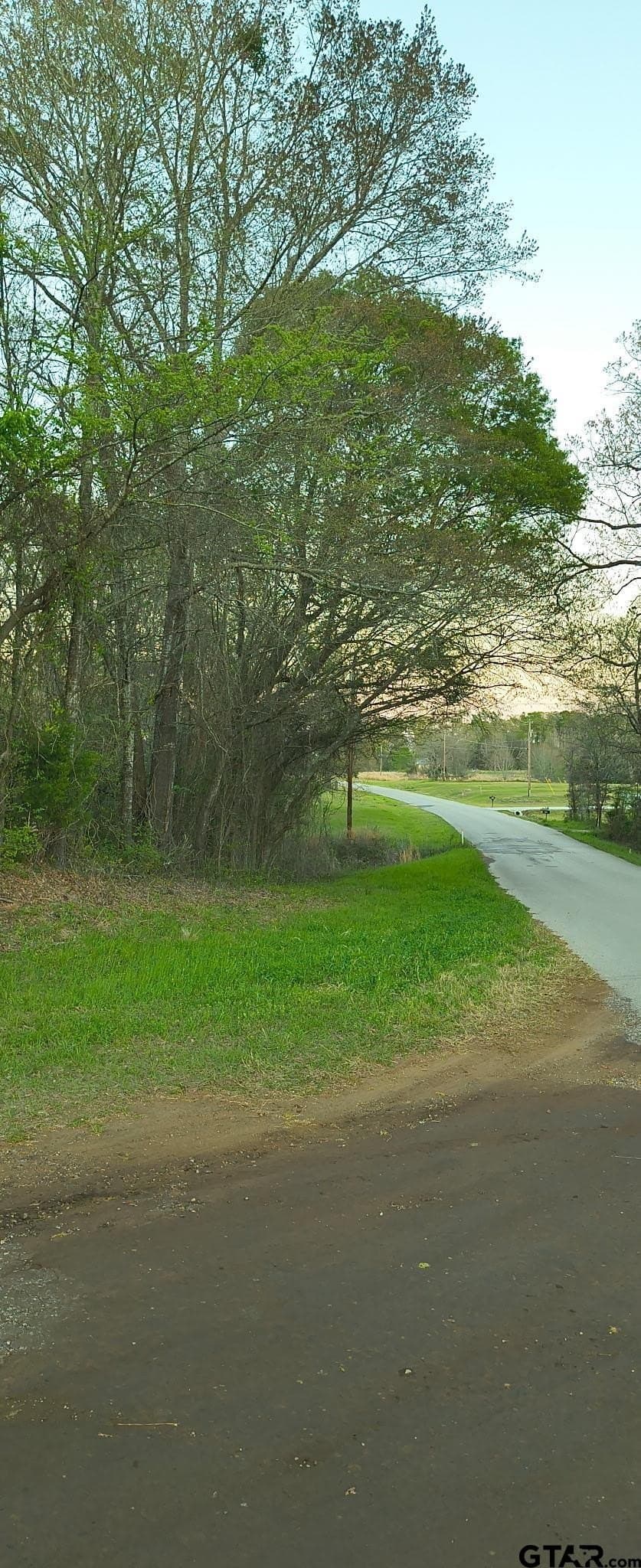 12 acres in Smith County featured view