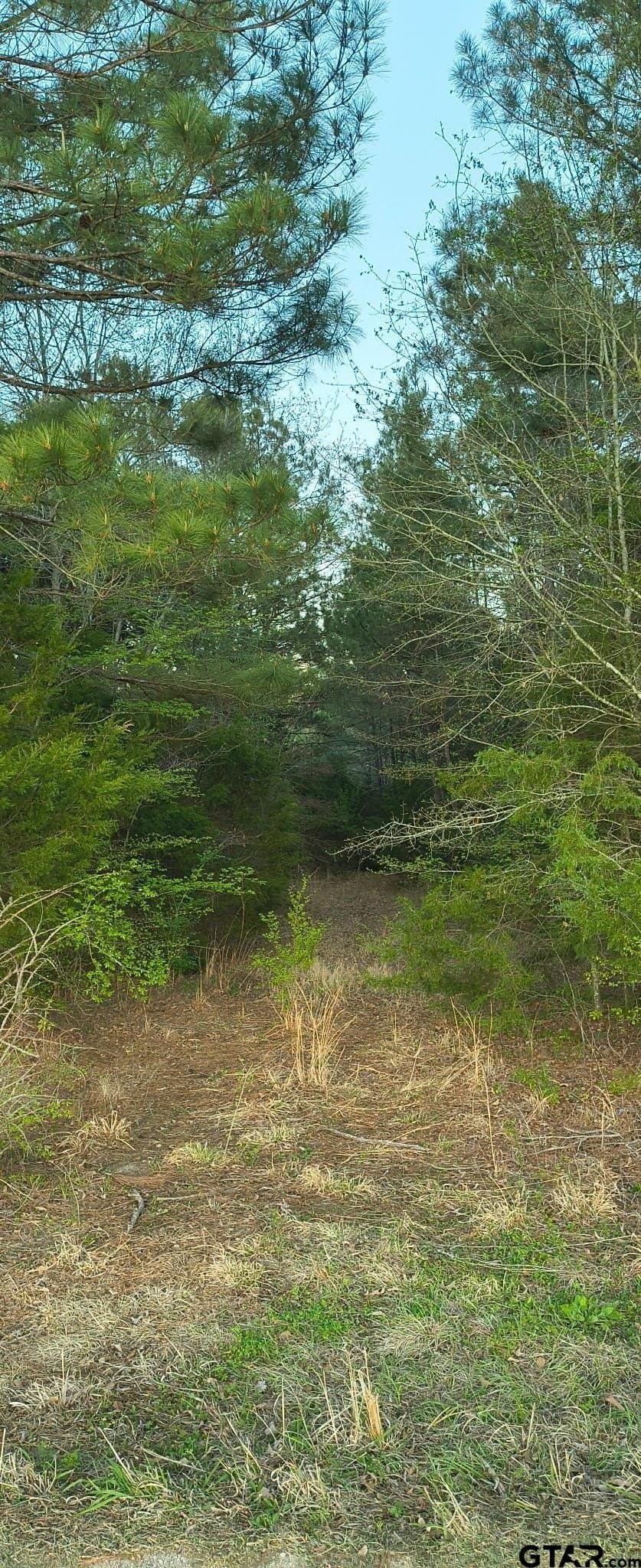 12 acres in Smith County
