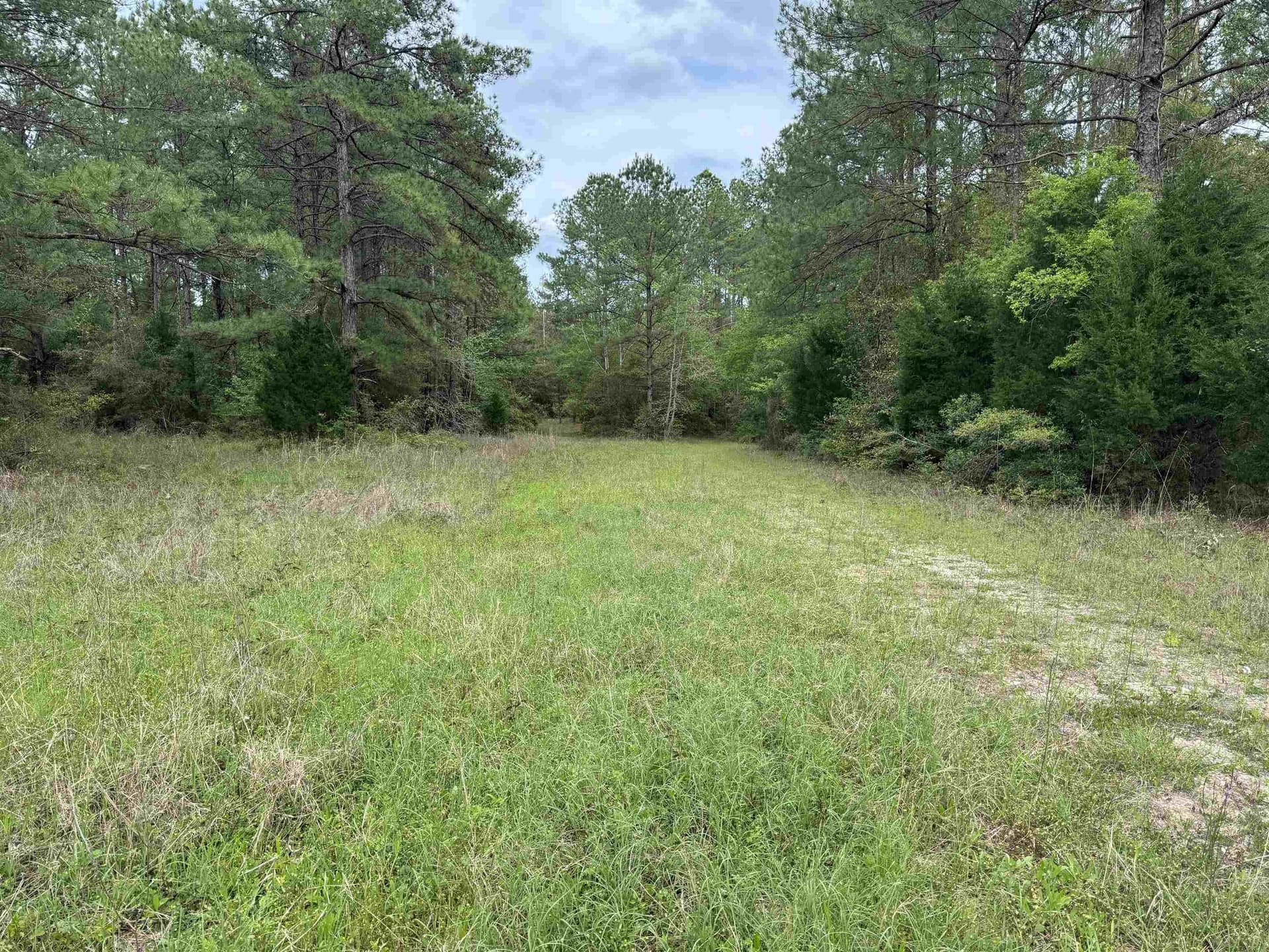 162.34 acres in Texas County gallery image 4