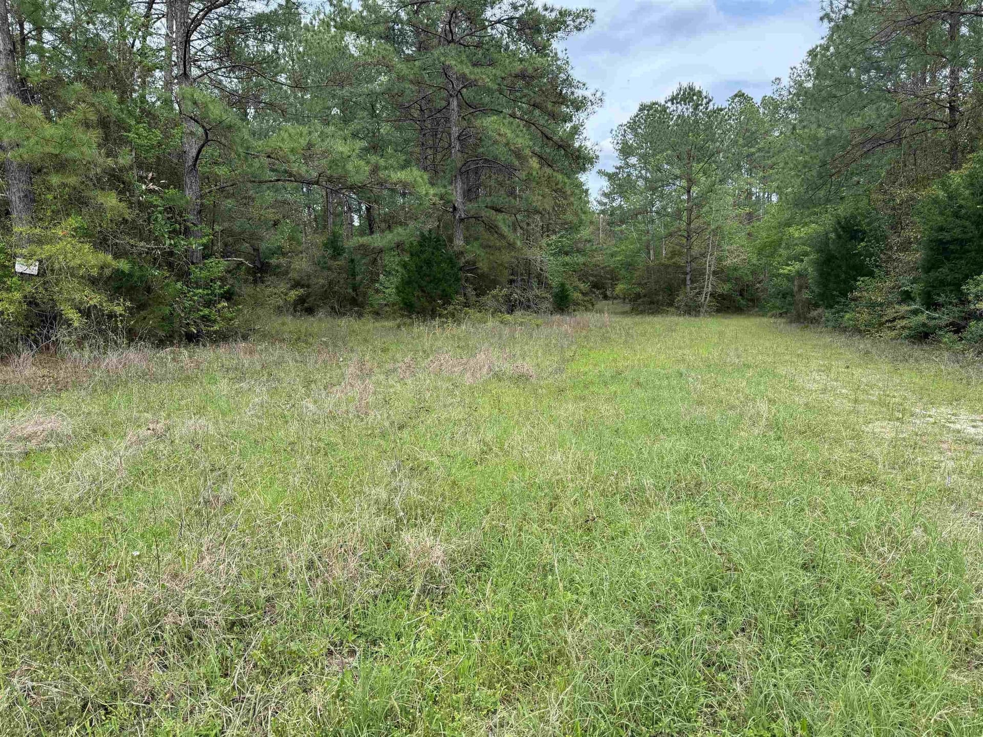 162.34 acres in Texas County gallery image 3