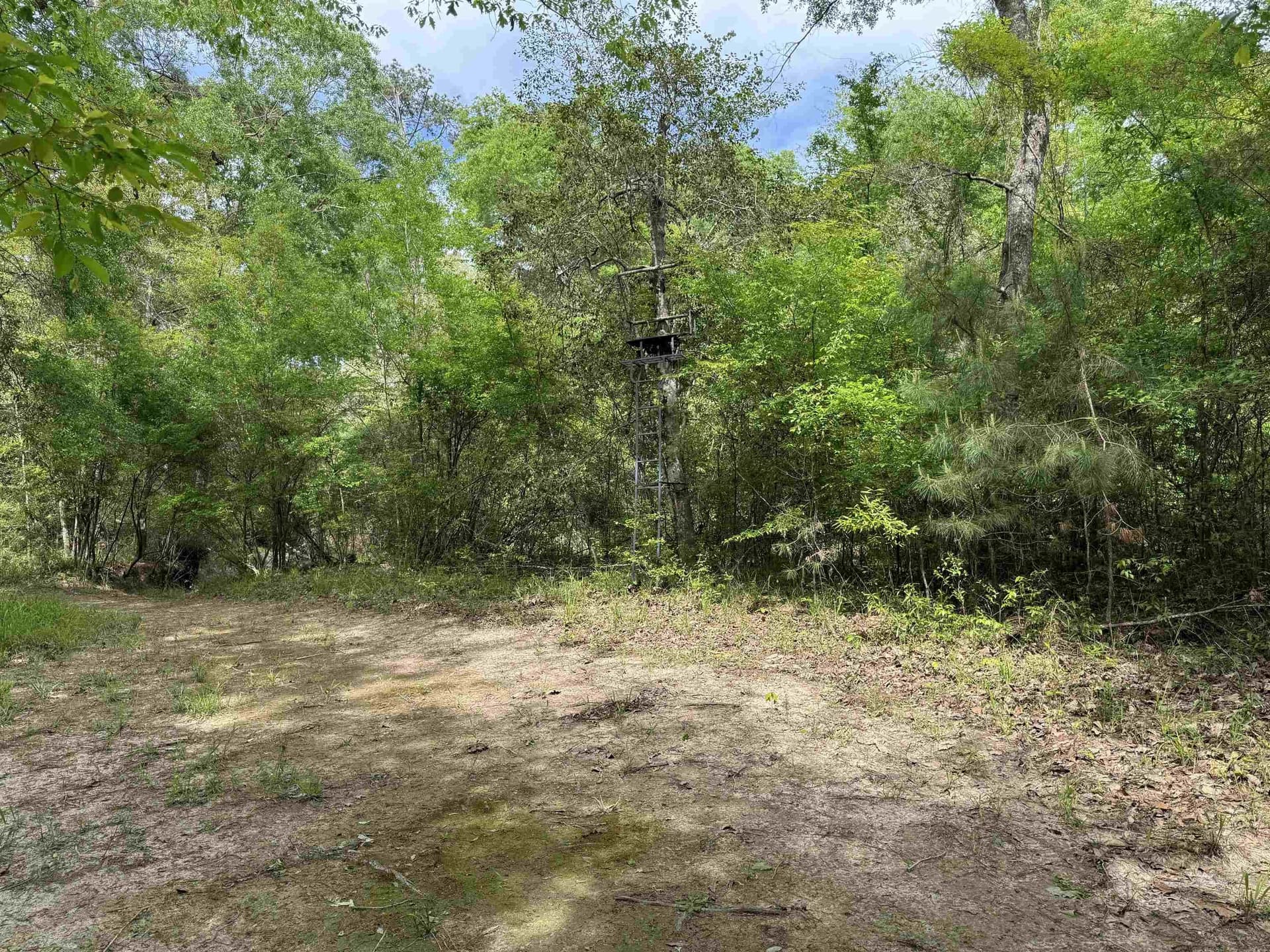 162.34 acres in Texas County featured view