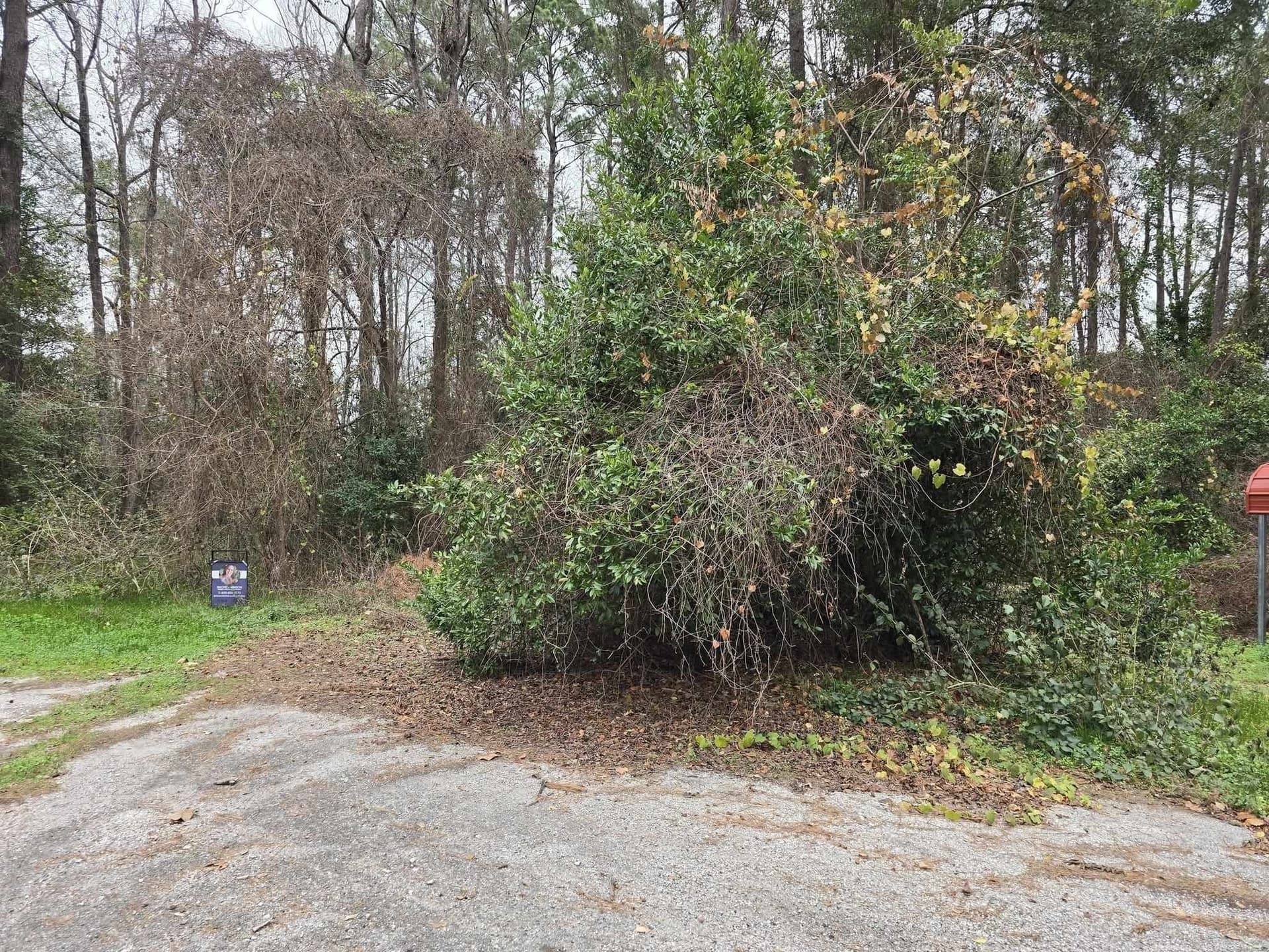 1 acres in Jasper County gallery image 2