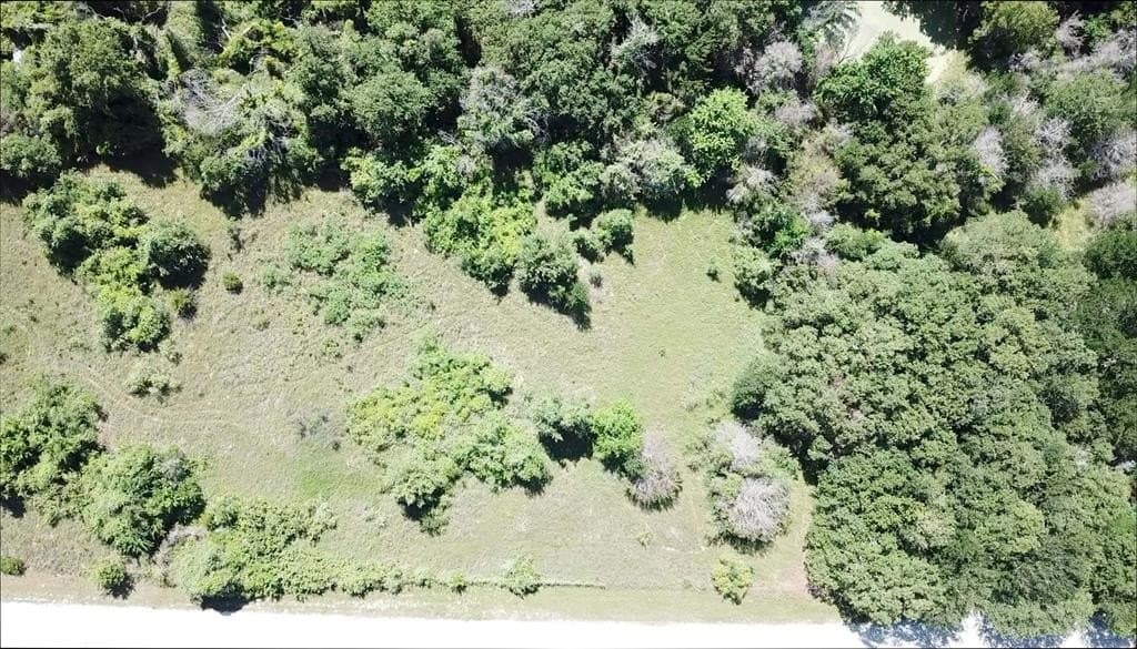4.63 acres in Wise County gallery image 3
