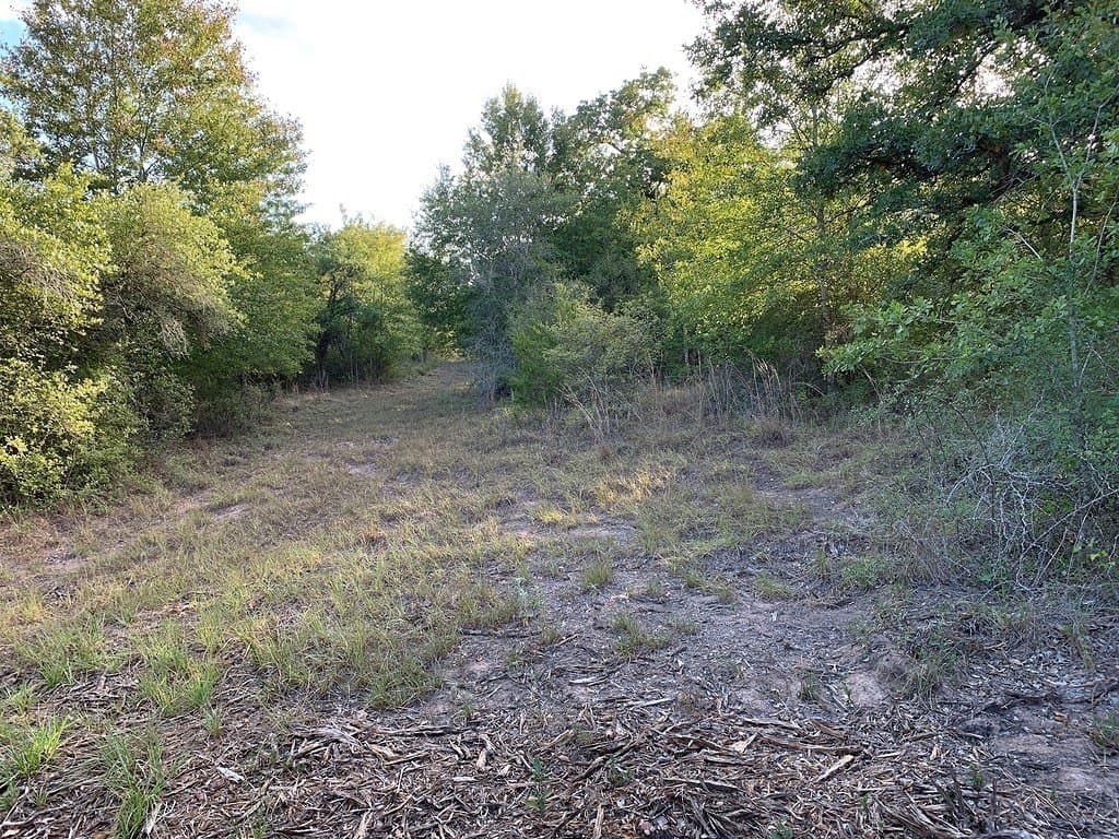 11 acres in Lavaca County - photo 22