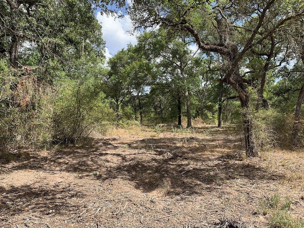 11 acres in Lavaca County - photo 16
