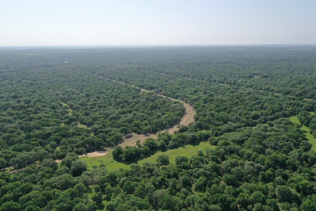 11 acres in Lavaca County - photo 13