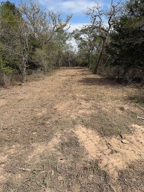 11 acres in Lavaca County - photo 11