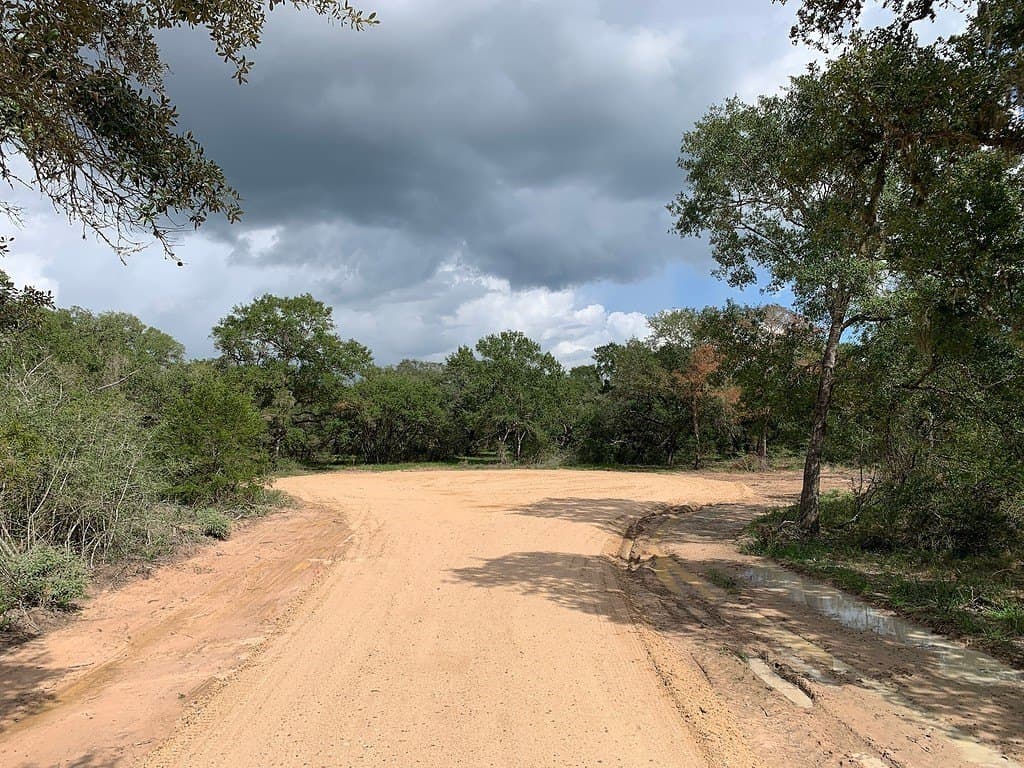 11 acres in Lavaca County - photo 14