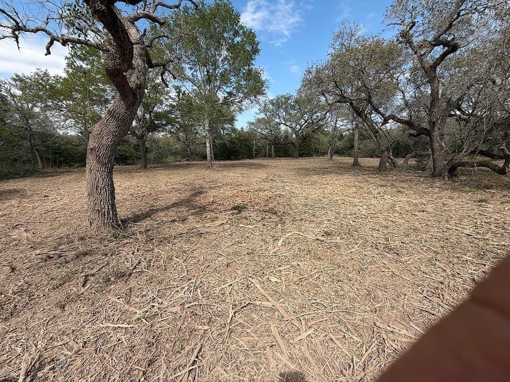 11 acres in Lavaca County - photo 6
