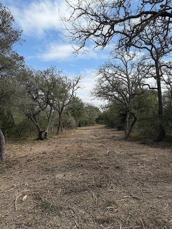 11 acres in Lavaca County - photo 9