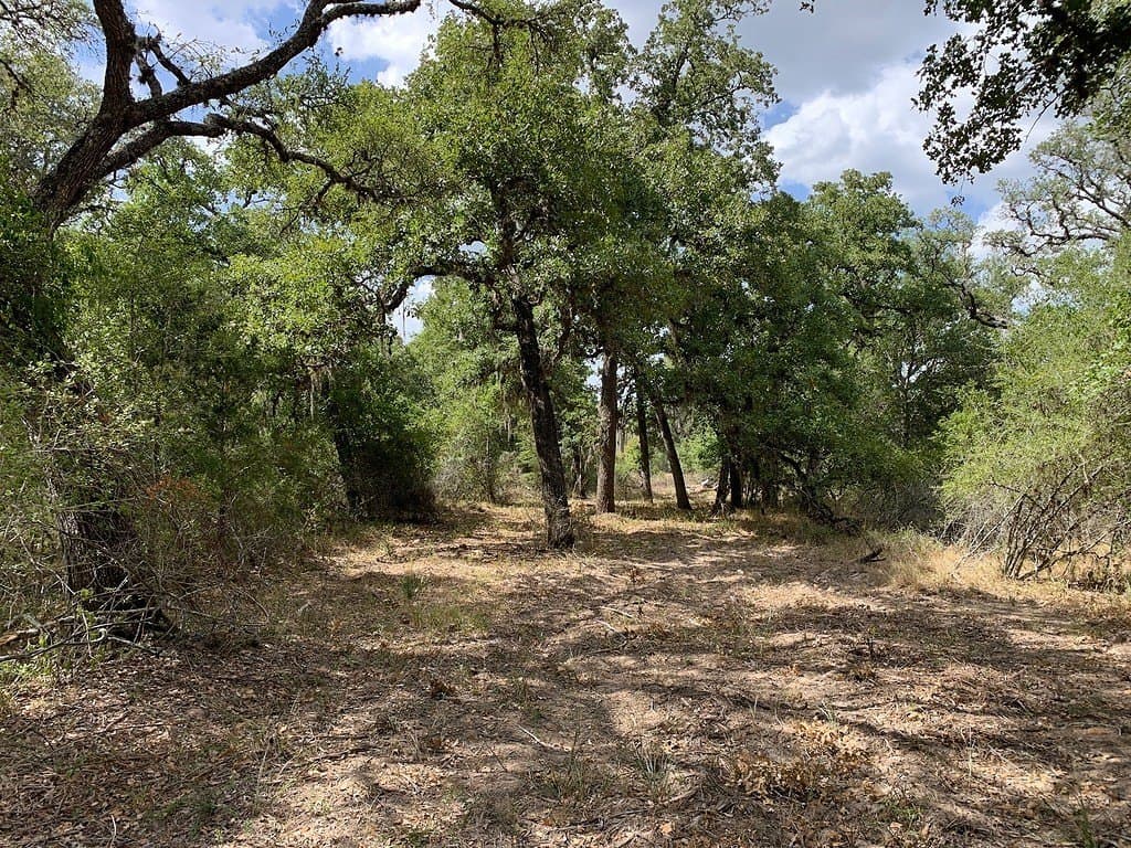 11 acres in Lavaca County - photo 17