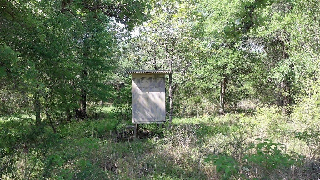 11 acres in Lavaca County - photo 15