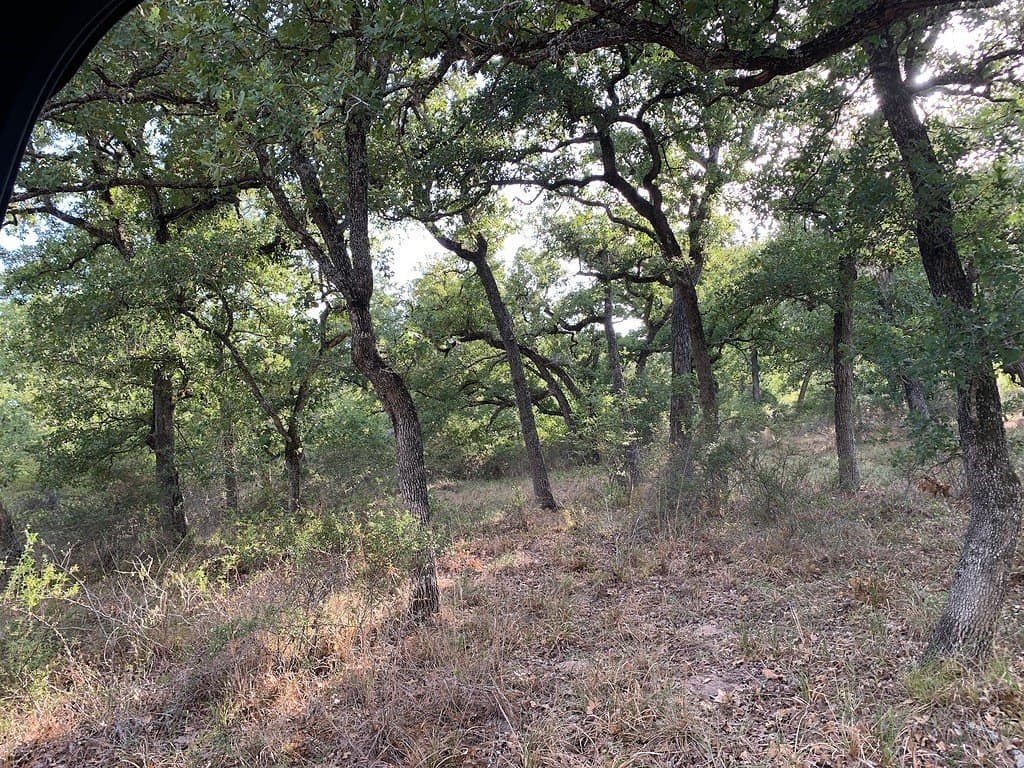 11 acres in Lavaca County - photo 20