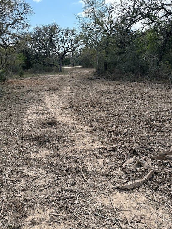 11 acres in Lavaca County - photo 30