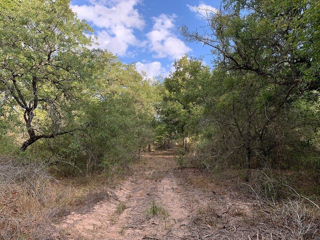 11 acres in Lavaca County - photo 21