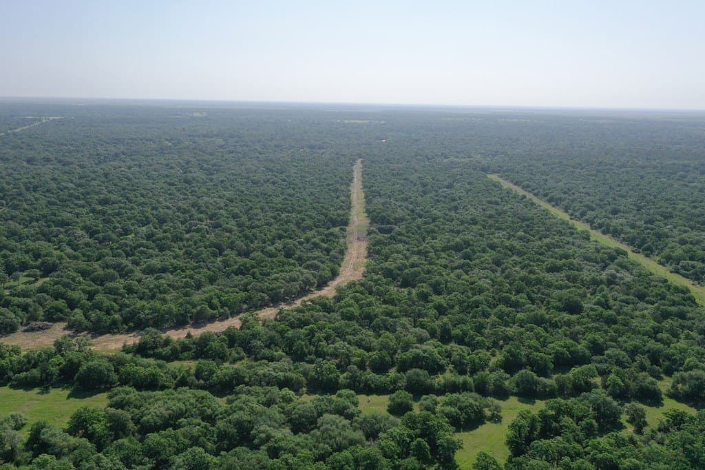 11 acres in Lavaca County - photo 23