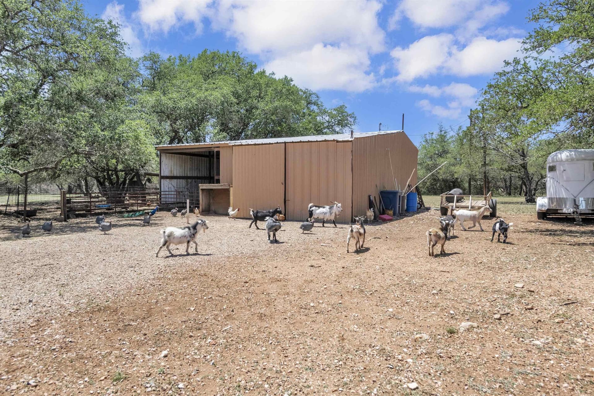10.91 acres in Burnet County - photo 8