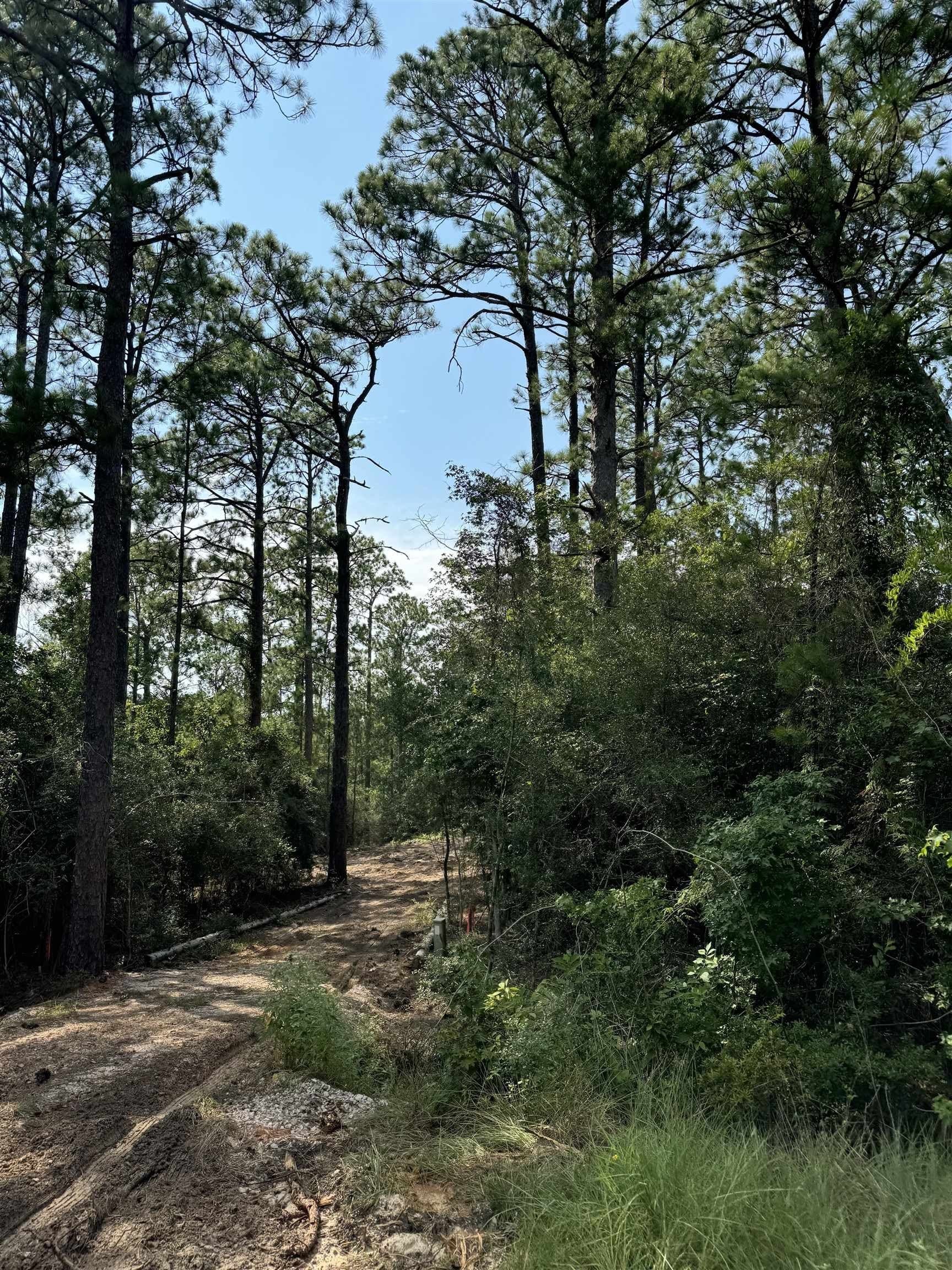 0.2 acres in Texas County featured view