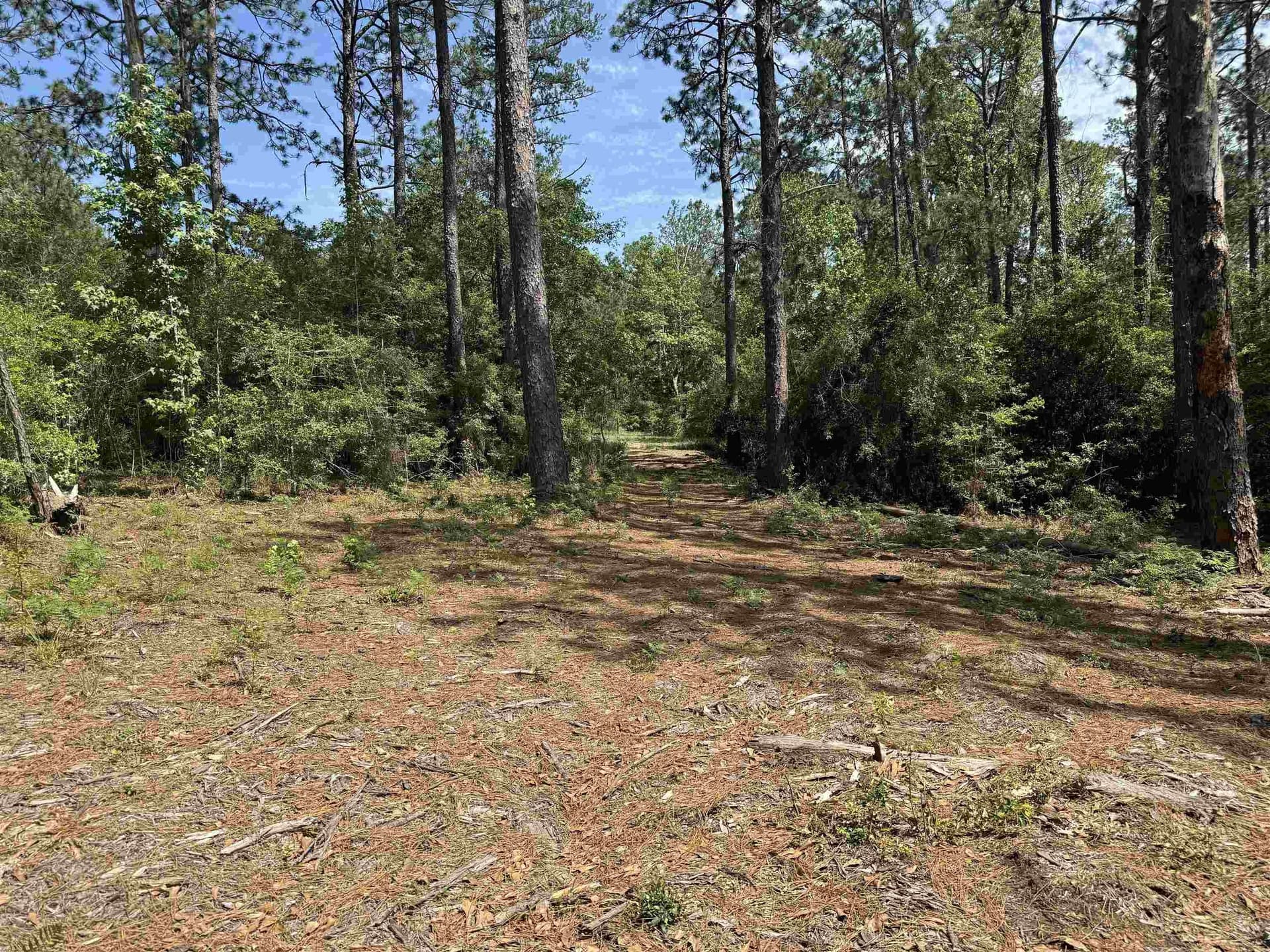 0.2 acres in Texas County