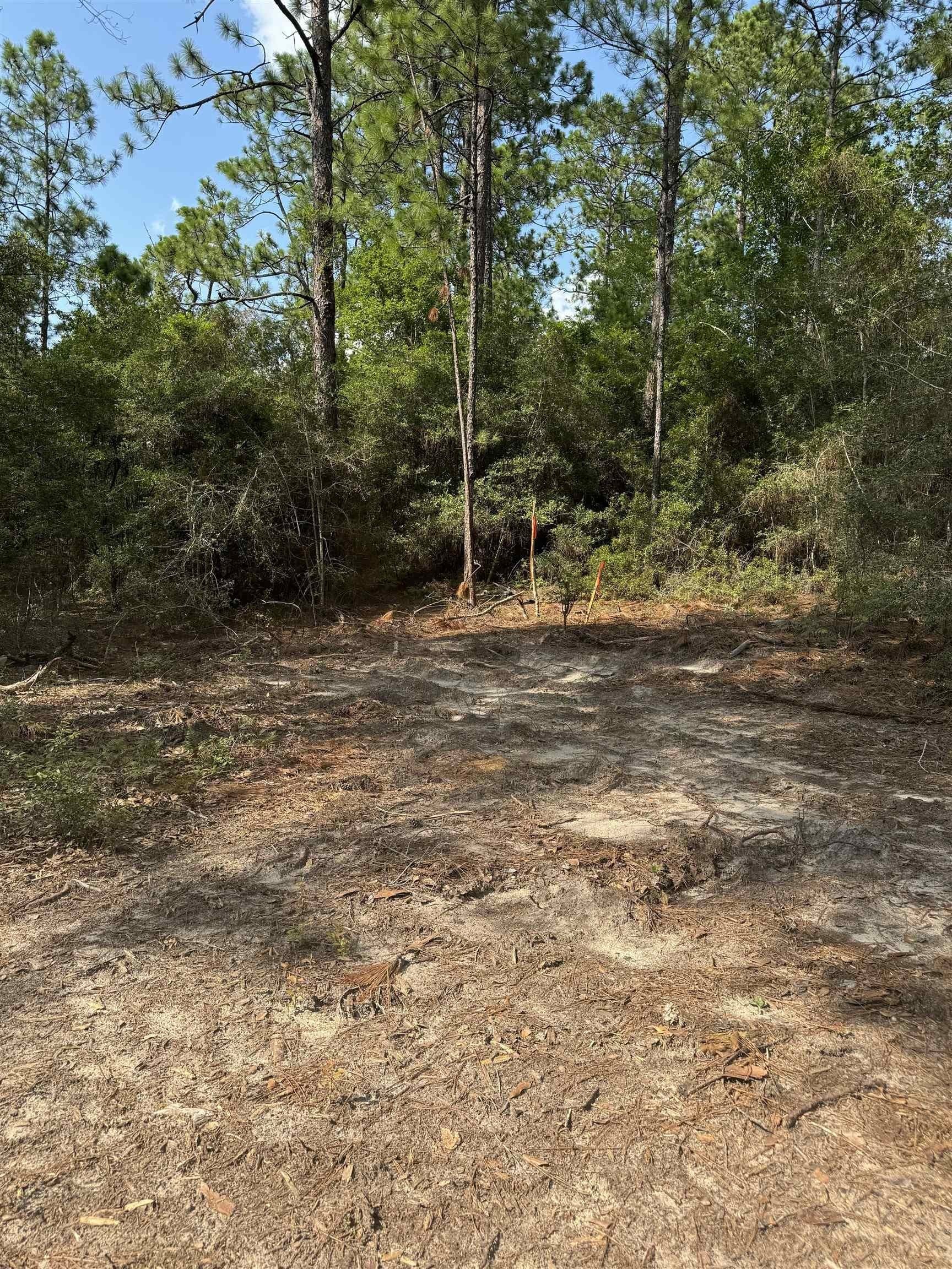 0.2 acres in Texas County gallery image 3