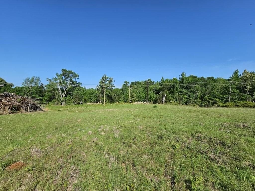 10 acres in Anderson County gallery image 3