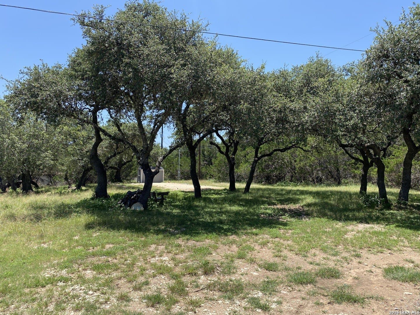 0.9 acres in Comal County gallery image 3
