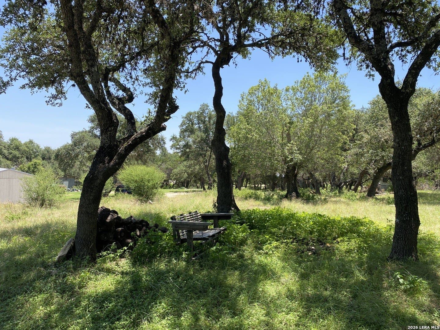 0.9 acres in Comal County gallery image 4