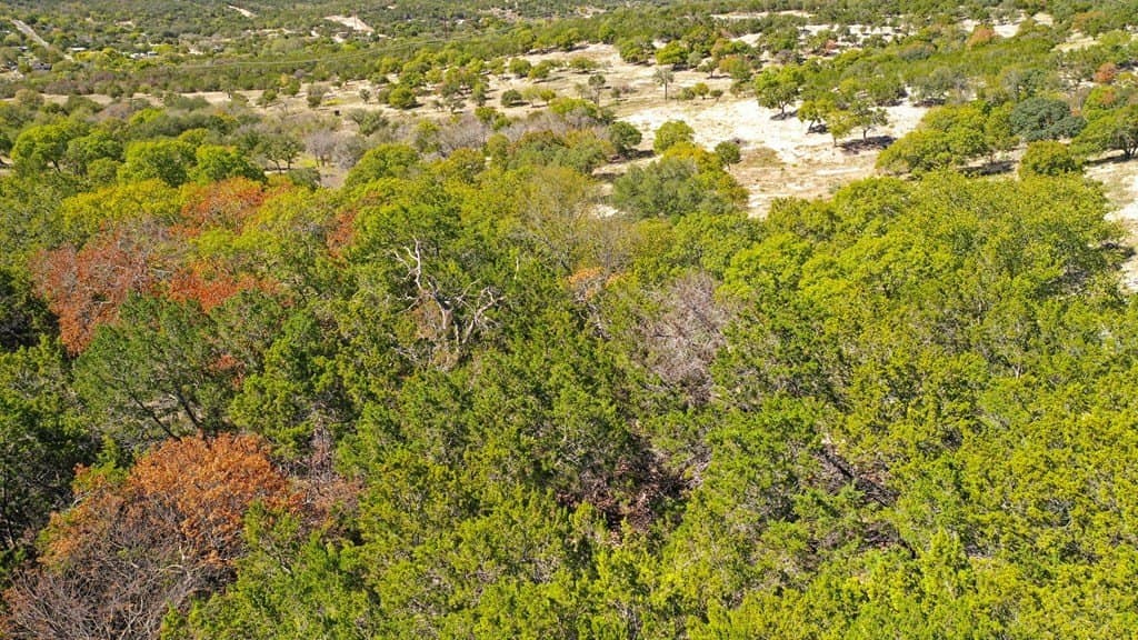0.9 acres in Kerr County - photo 12