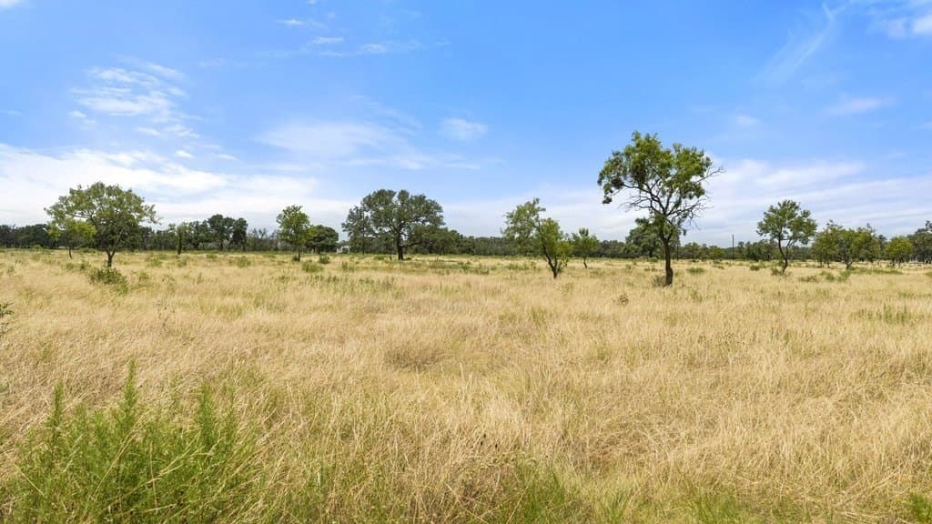12 acres in Blanco County gallery image 4