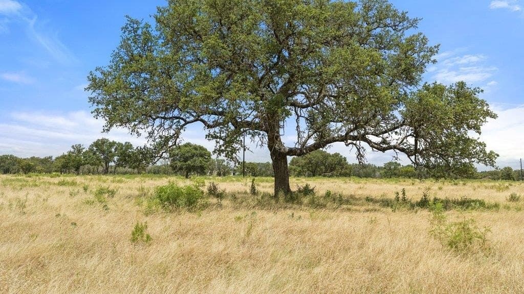 12 acres in Blanco County