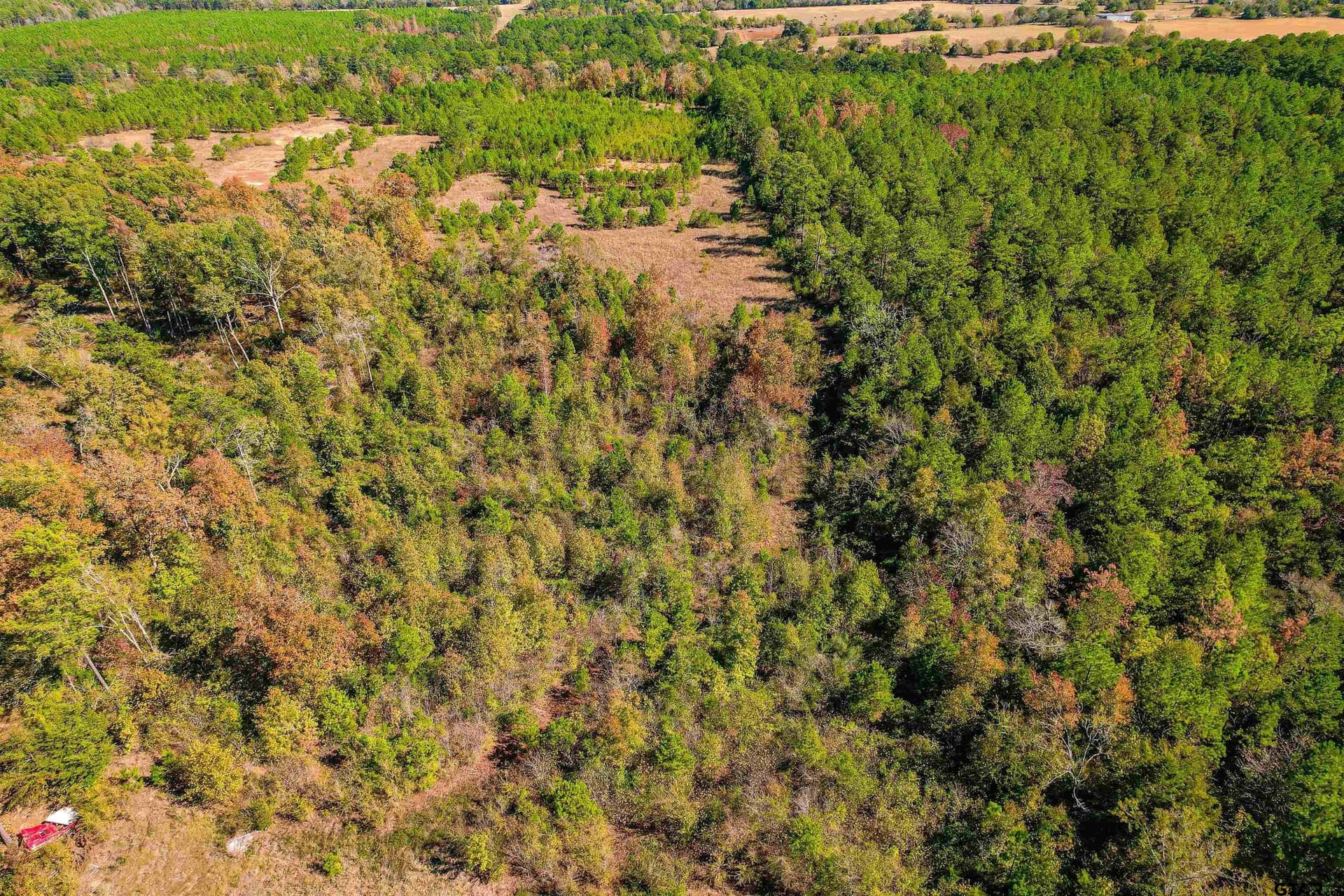 21.34 acres in Cherokee County - photo 13