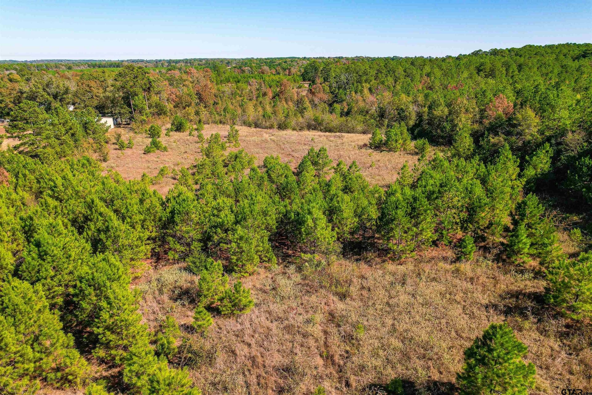 21.34 acres in Cherokee County - photo 10