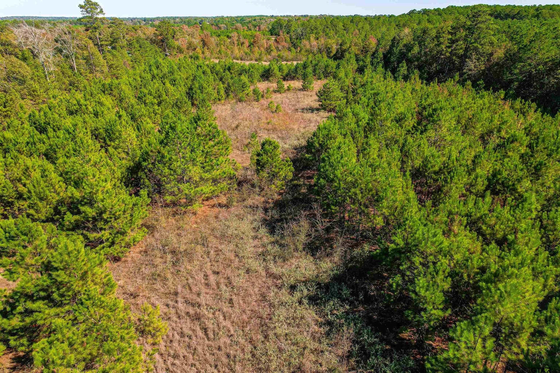 21.34 acres in Cherokee County - photo 9