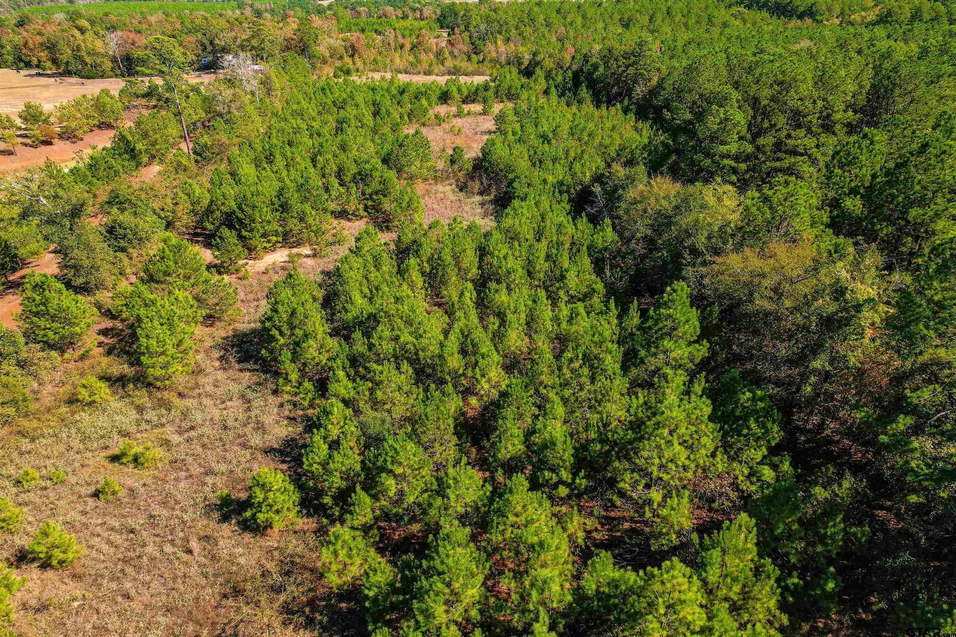 21.34 acres in Cherokee County - photo 8