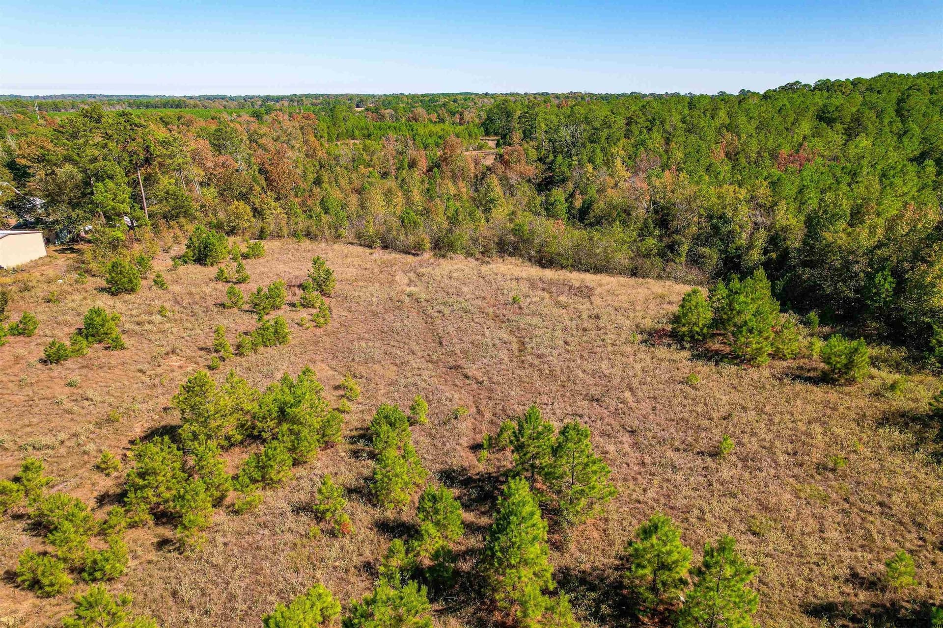 21.34 acres in Cherokee County - photo 11