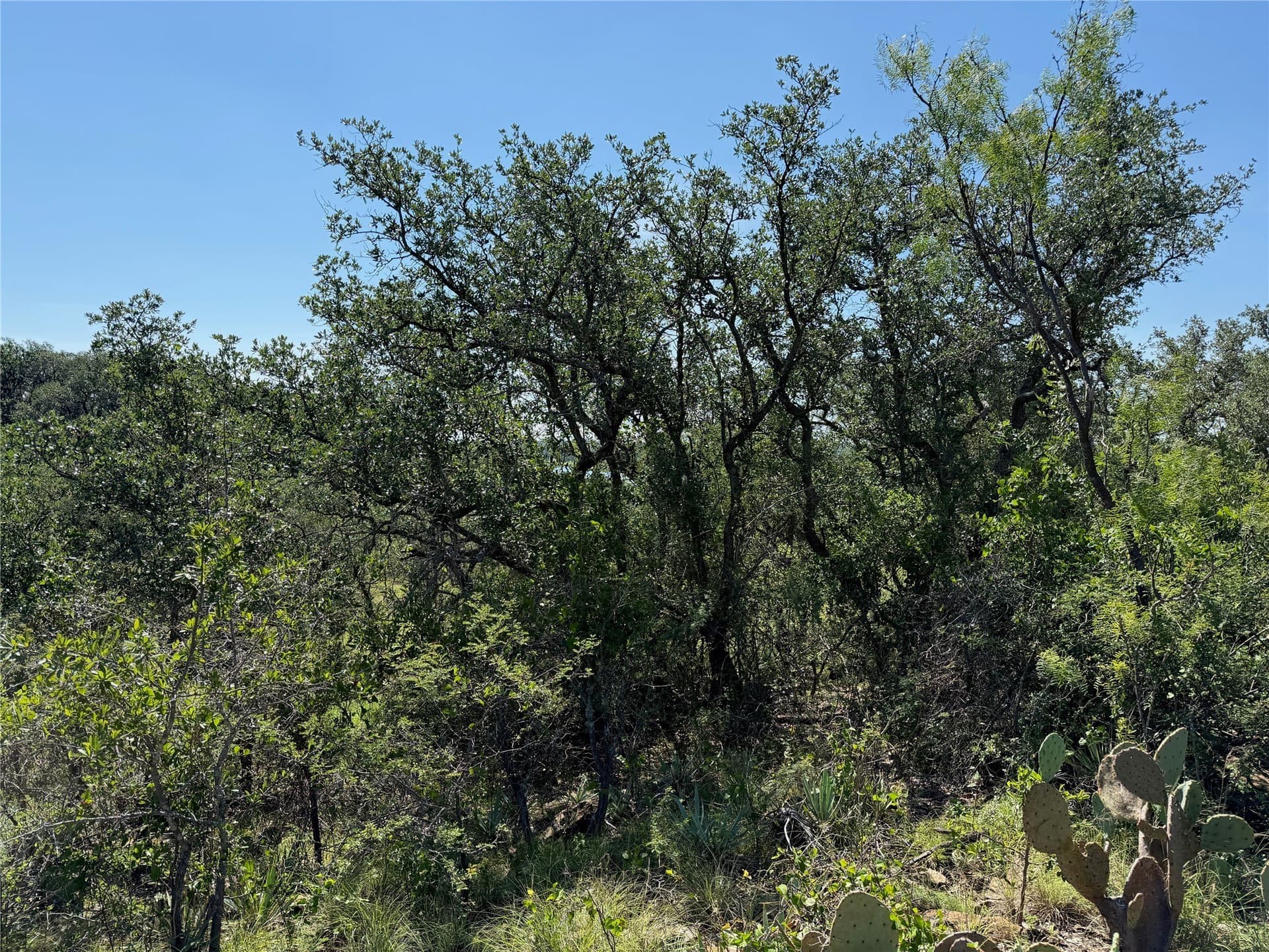 0.33 acres in Brown County - photo 5