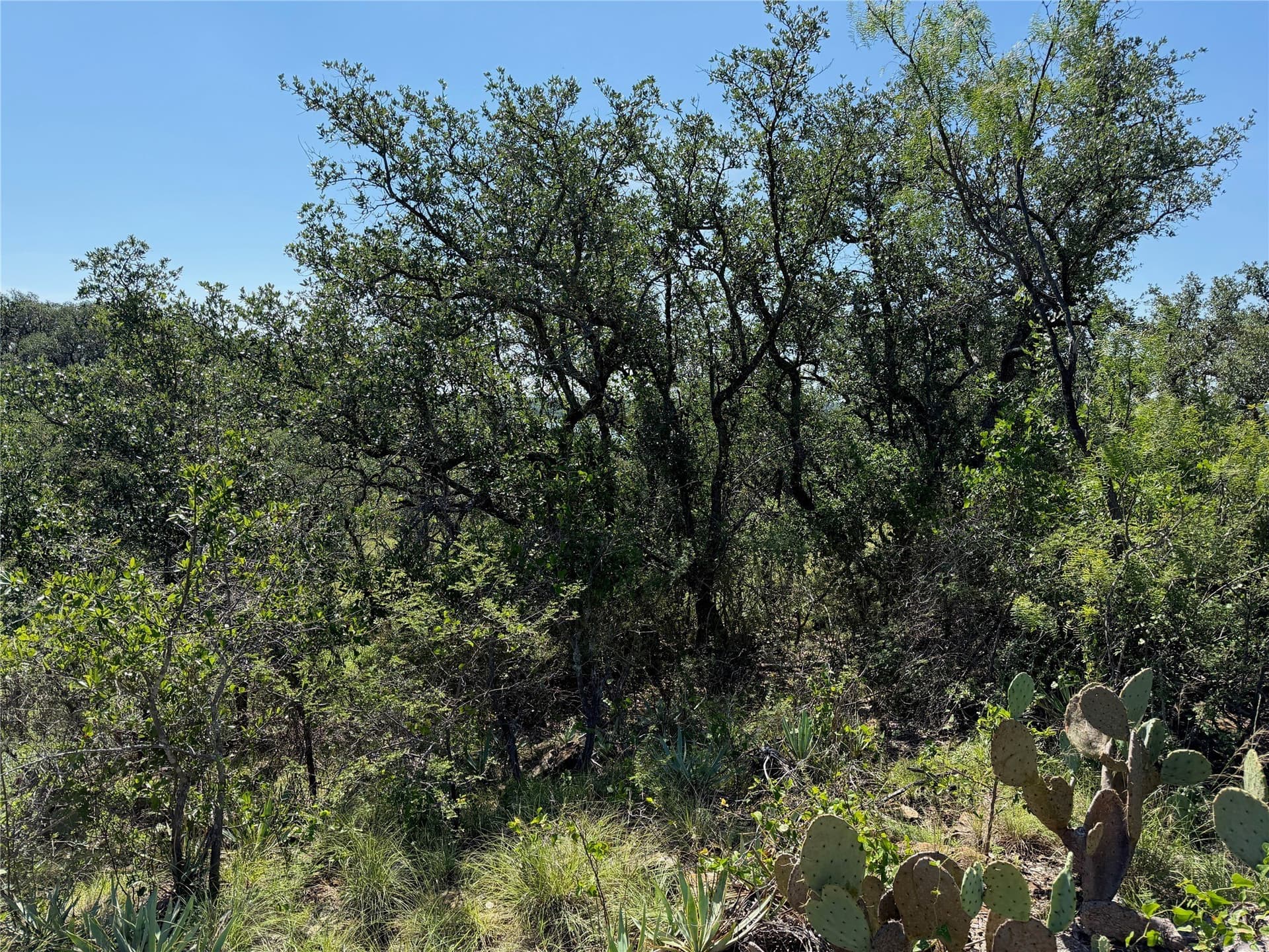 0.33 acres in Brown County - photo 8