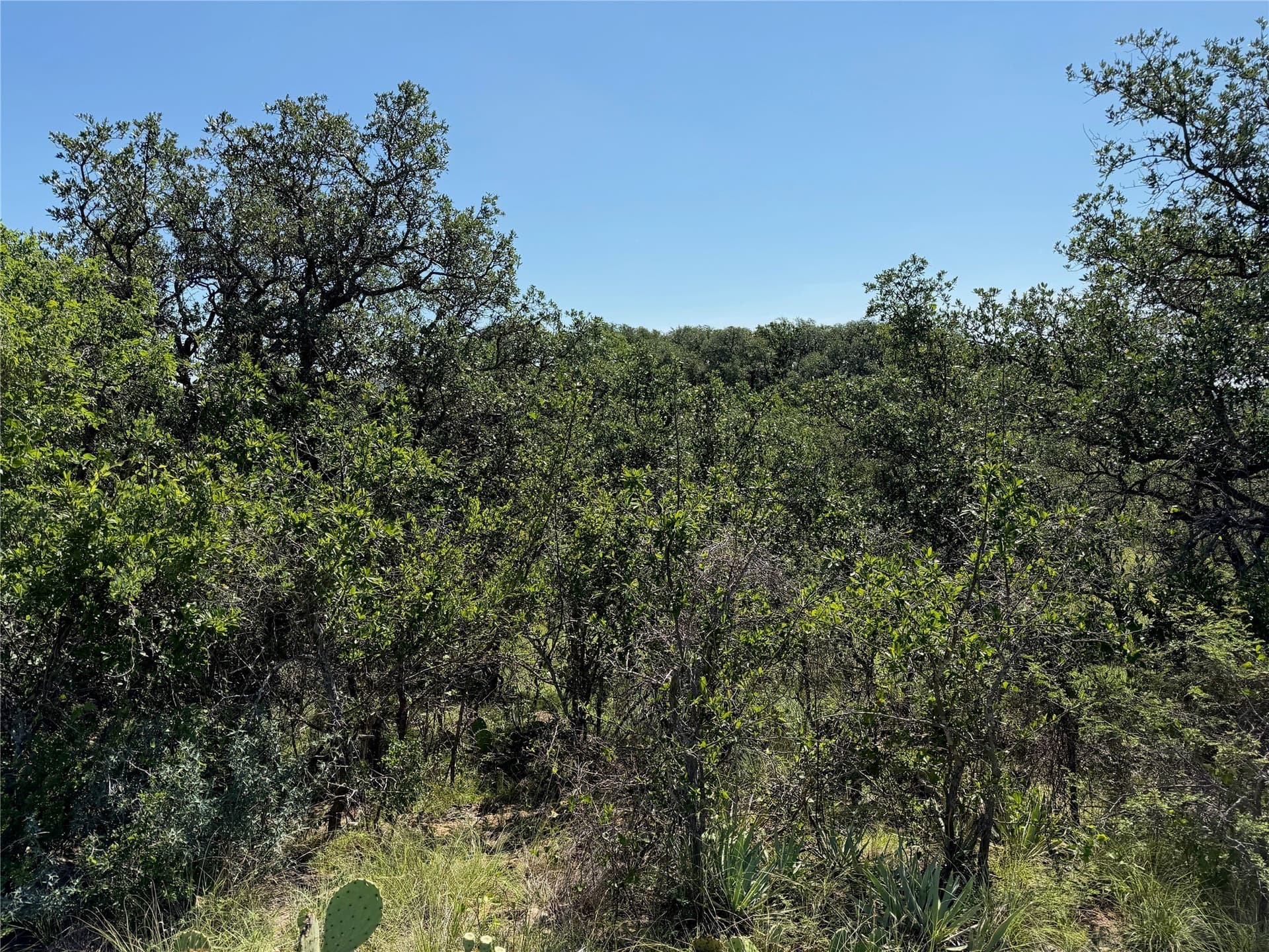 0.33 acres in Brown County - photo 7