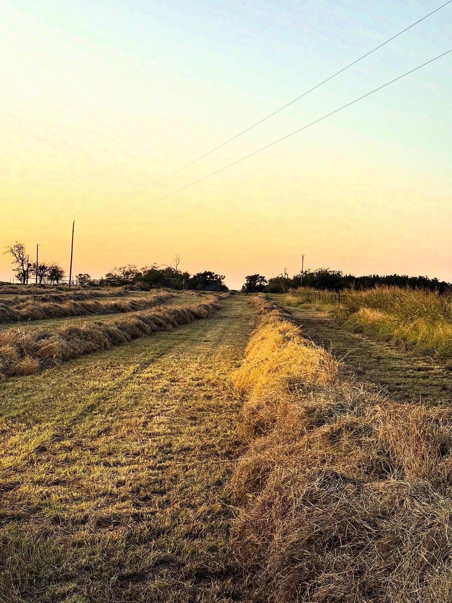 3.24 acres in Coryell County - photo 9