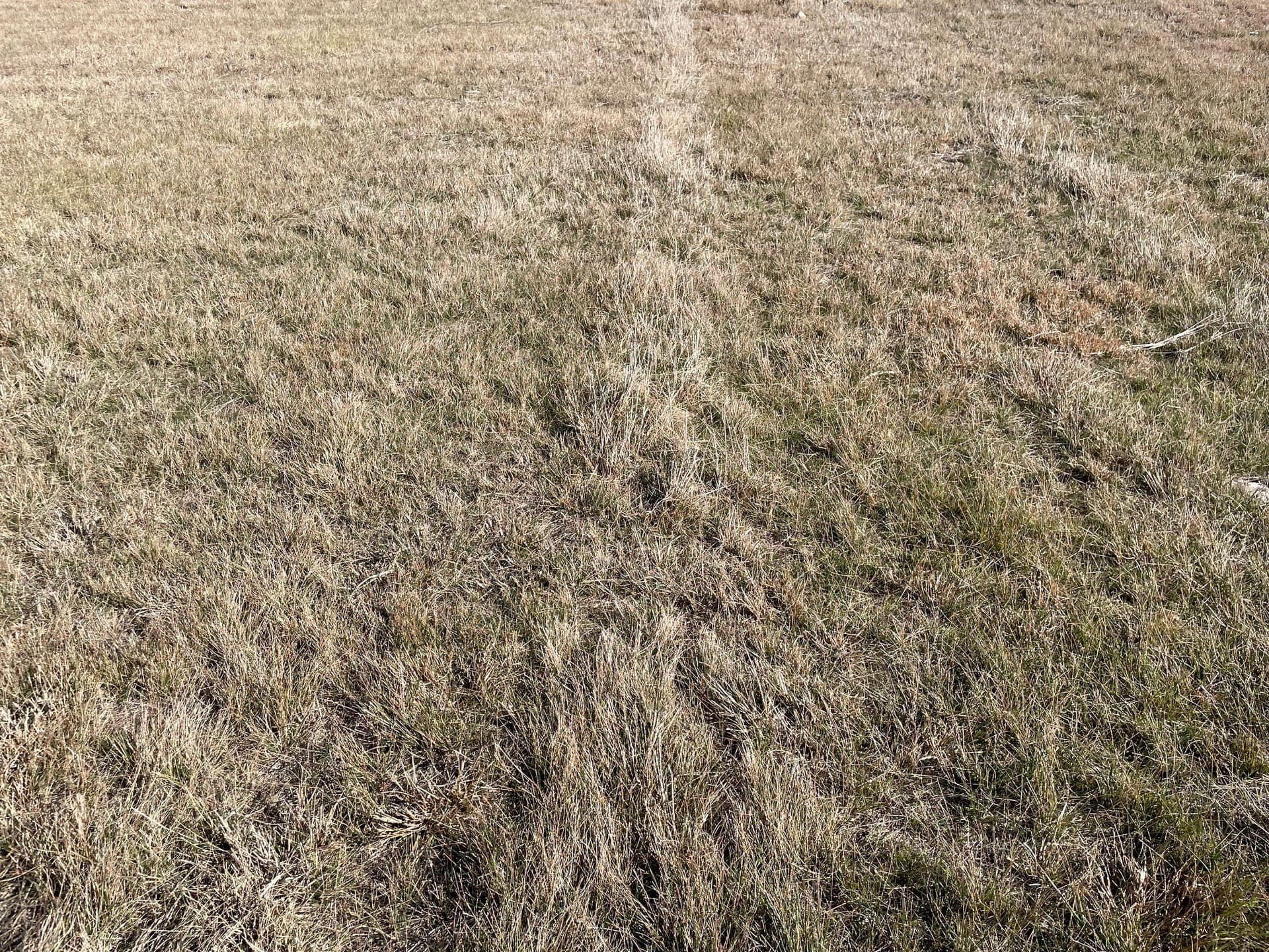 3.24 acres in Coryell County - photo 5