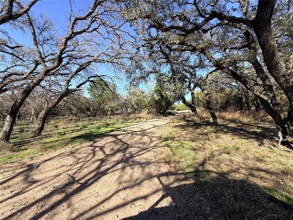 33.32 acres in Mills County gallery image 2