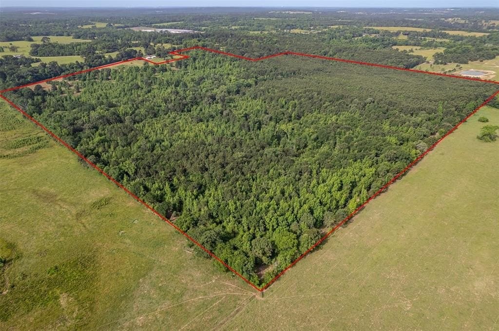 110 acres in Smith County gallery image 2