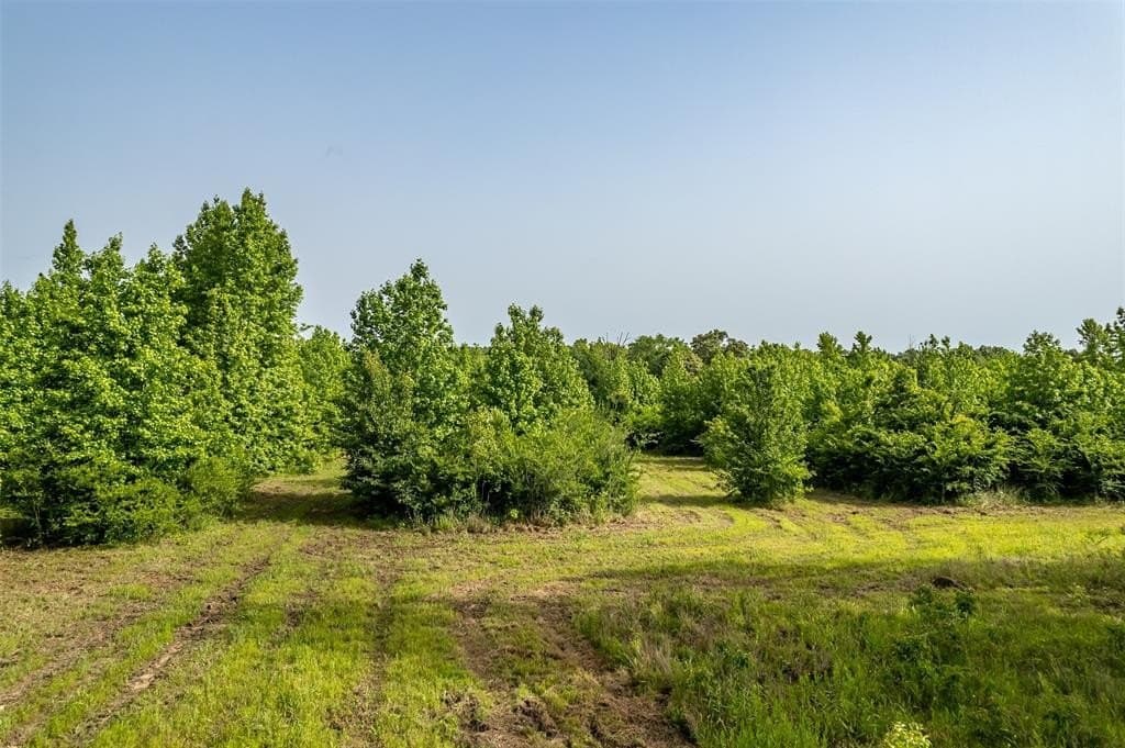 110 acres in Smith County featured view