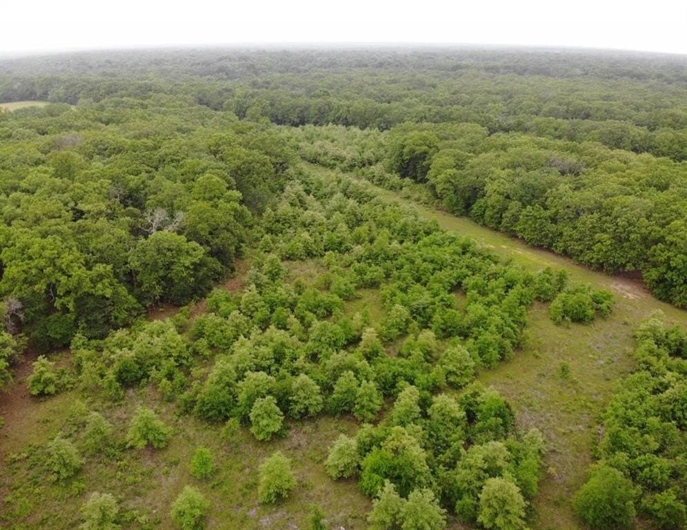 10.01 acres in Rains County gallery image 2
