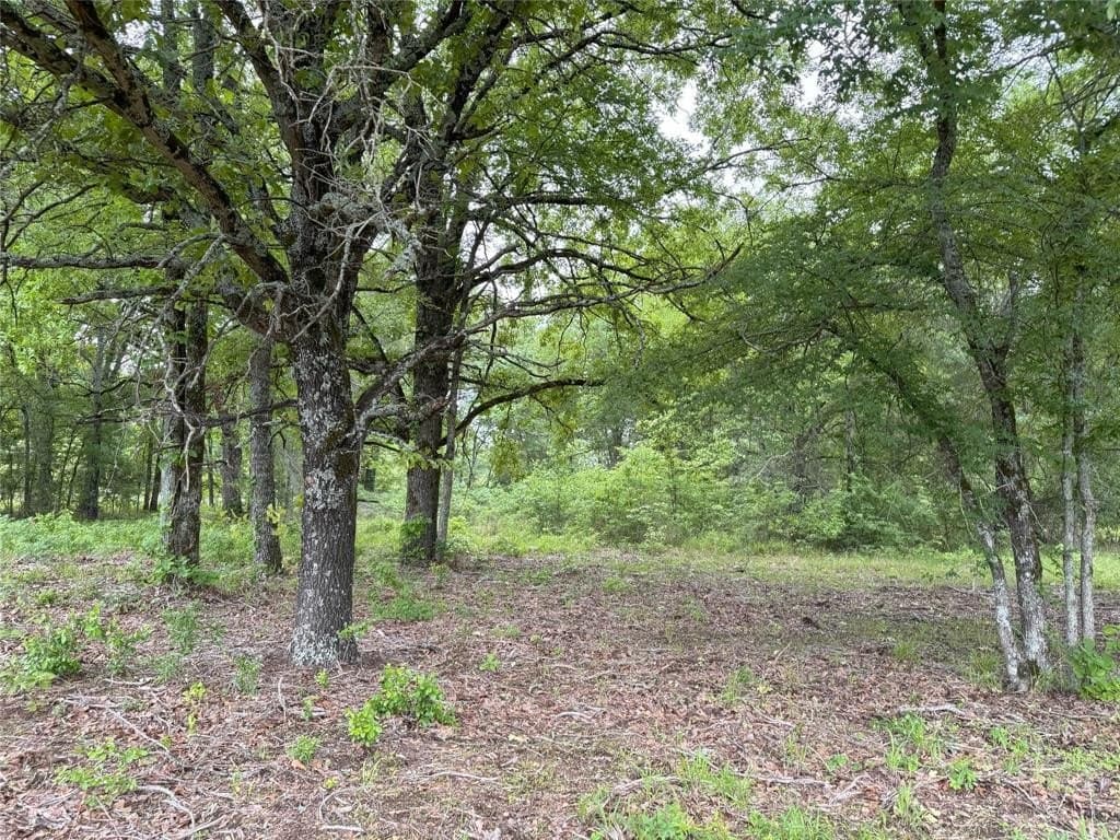 10.01 acres in Rains County gallery image 3