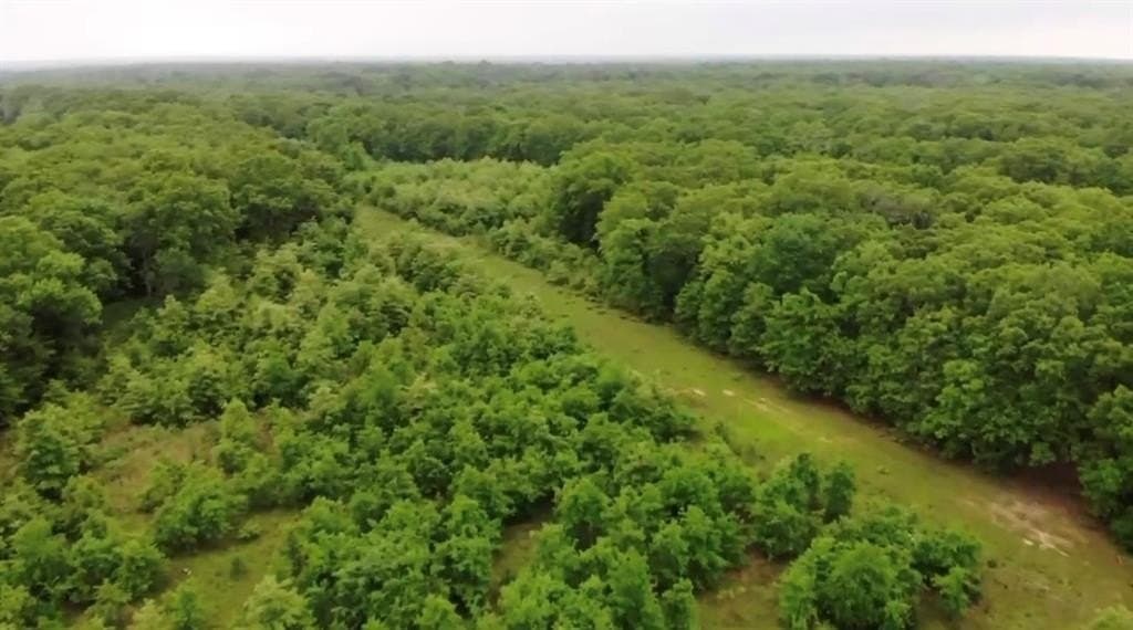 10.01 acres in Rains County gallery image 4