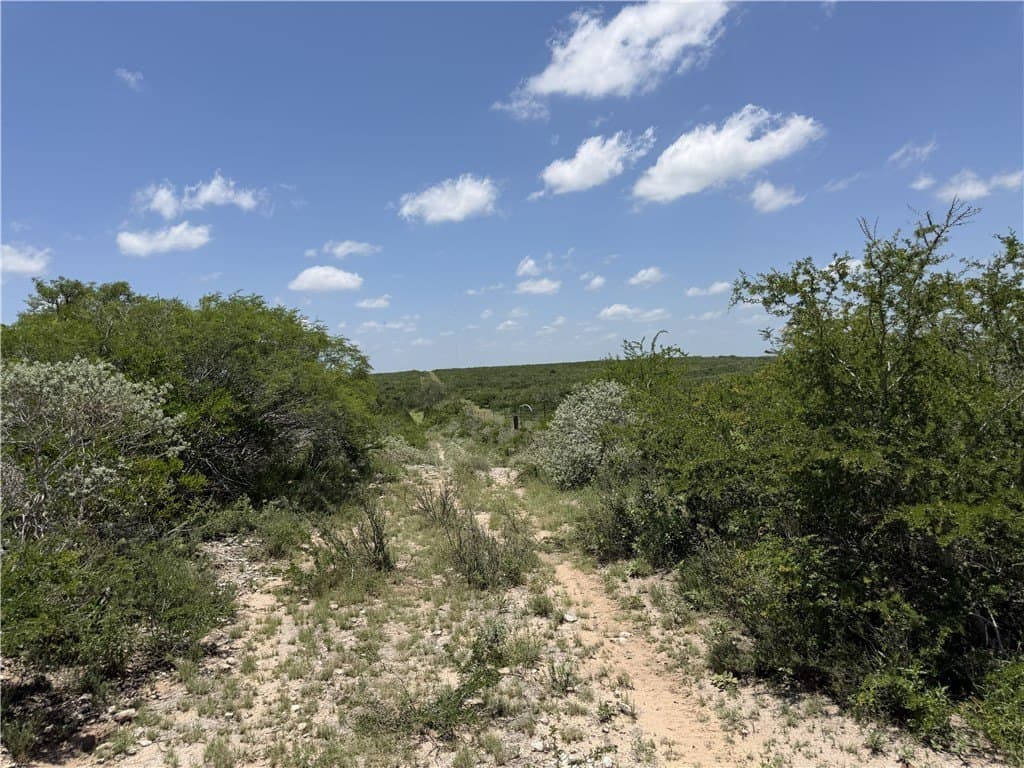 70.84 acres in Duval County - photo 14