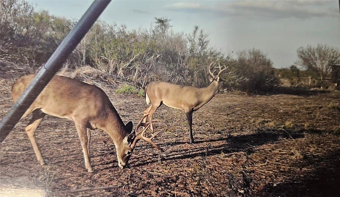 70.84 acres in Duval County - photo 12